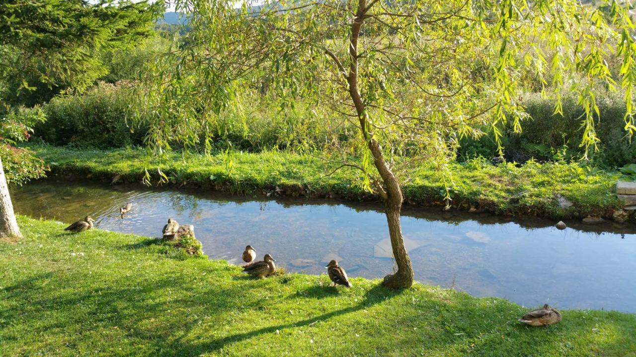 Rustic Inn River Prijeboj Kültér fotó